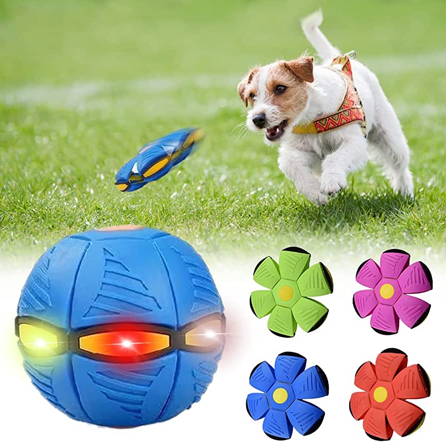 W&W Dog Frisbee